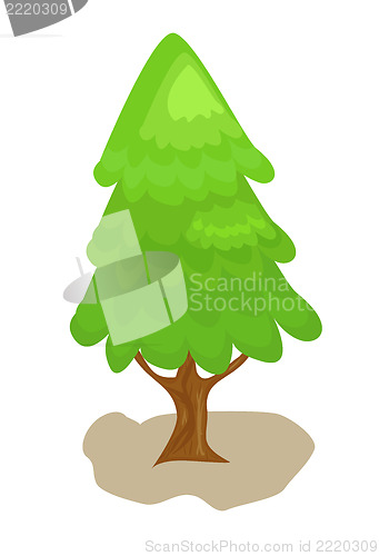 Image of Green Christmas tree isolated