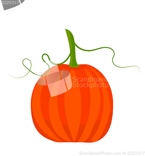 Image of fall pumpkin