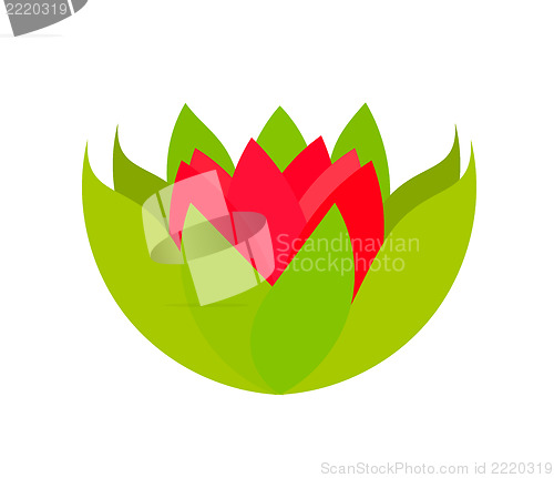 Image of Lily pink flower. Spa