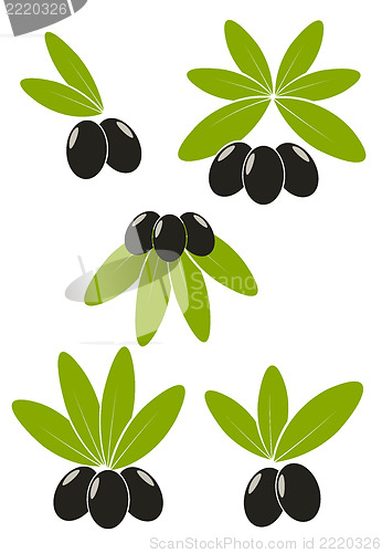 Image of Olives with leaves