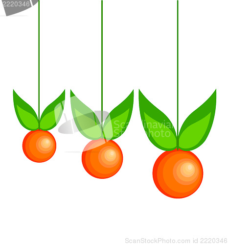 Image of Three oranges