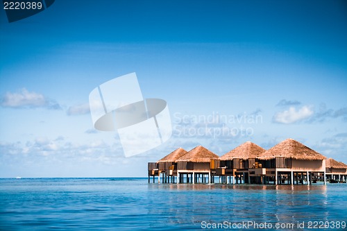 Image of Over water bungalows with steps into amazing green lagoon