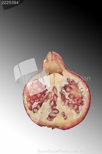 Image of pomegranate fruit 