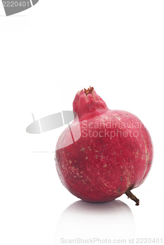 Image of pomegranate fruit 