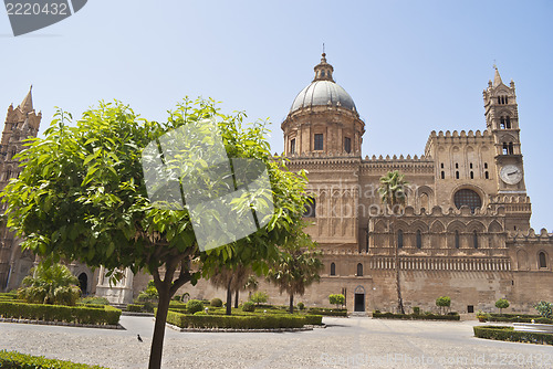 Image of Detail of garden in Palermo Cathedral