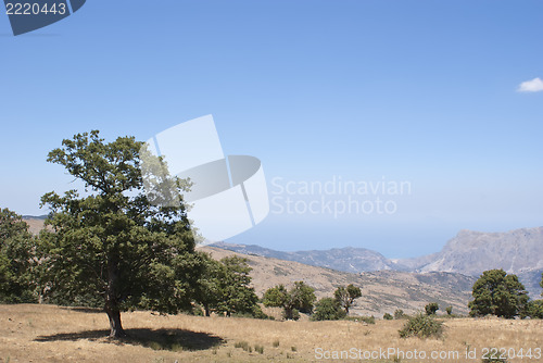 Image of Beautiful landscape of Nebrodi mountains