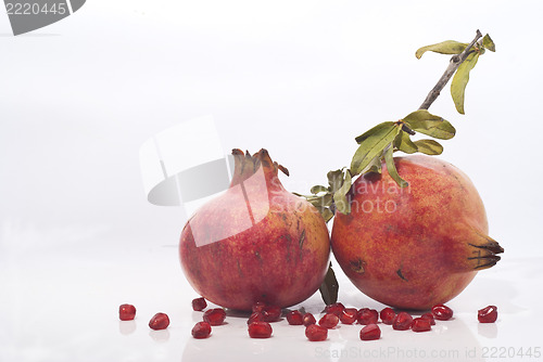 Image of pomegranates with leaves