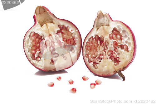 Image of pomegranate fruit 