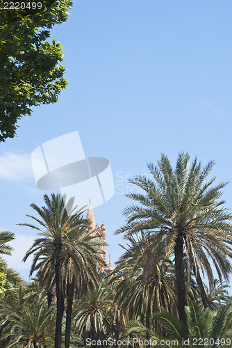 Image of detail of palermo cathedral and palms