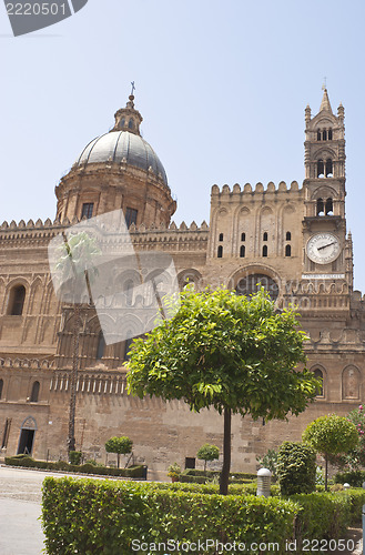 Image of Detail of garden in Palermo Cathedral