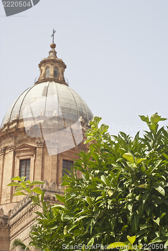 Image of Detail of garden in Palermo Cathedral