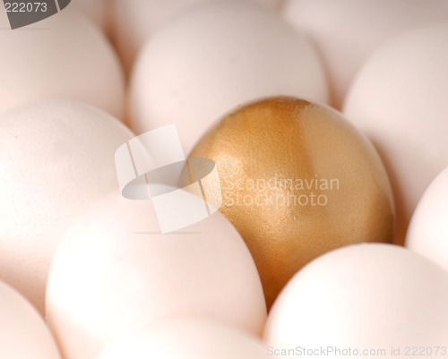 Image of A golden egg surround by white eggs