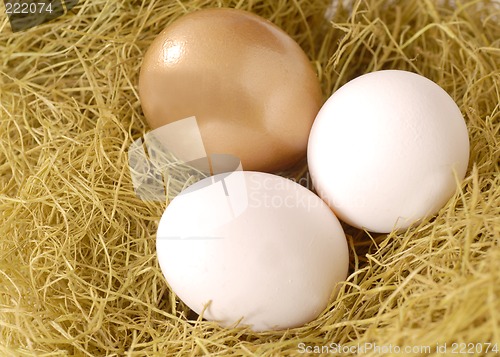Image of A golden egg and two white eggs in a nest