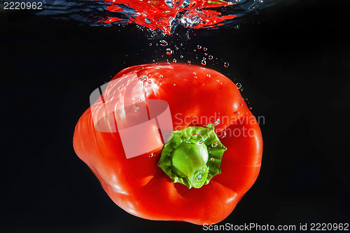 Image of A pepper under water