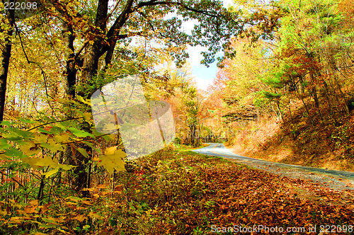 Image of mountain fall road