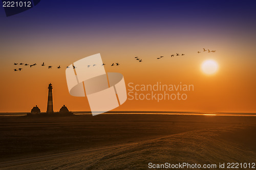 Image of Lighthouse on sunset with birds