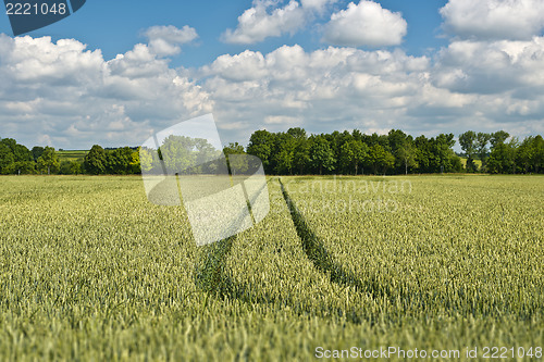 Image of Agriculture in Bavaria Germany