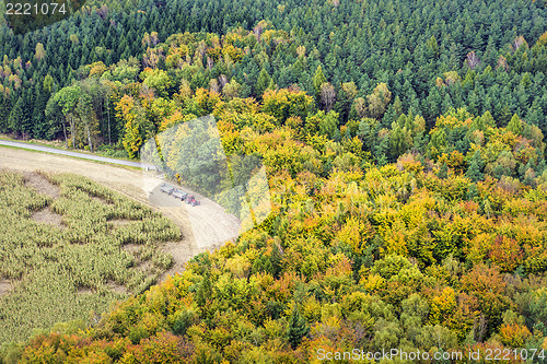 Image of Forest with tractor in Saxony Switzerland