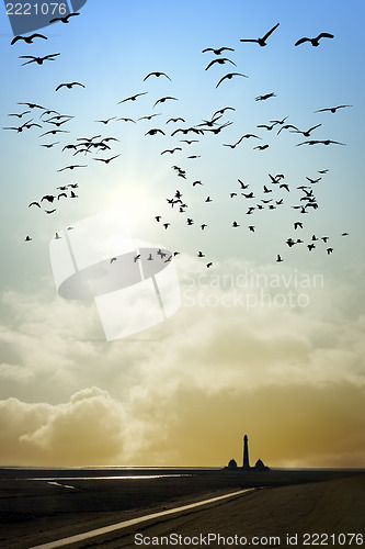 Image of Lighthouse with birds