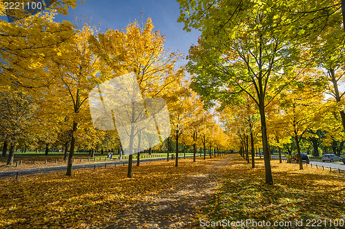 Image of Autumn in a park in Dresden