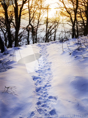 Image of Footprints in snow