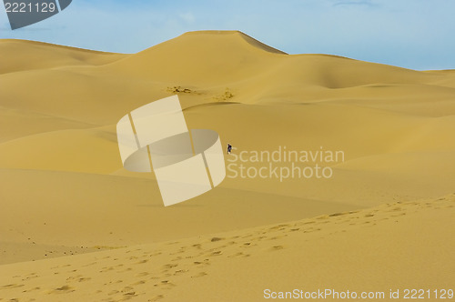 Image of Sand dune Mongolia