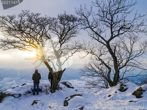 Image of Wintersunset with trees