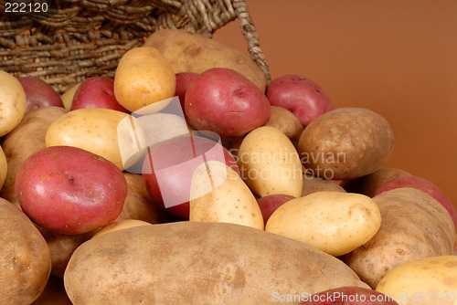 Image of Closeup of russet, red and white potatoes spilling out of a bask