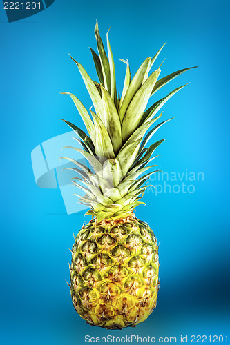 Image of Pineapple on blue underground