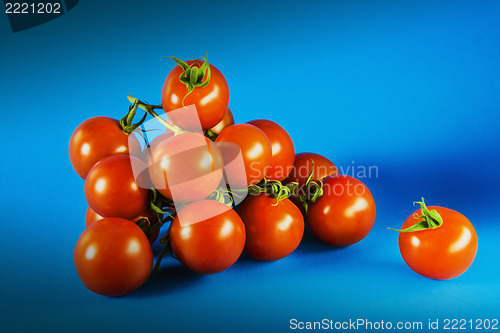 Image of Tomatoes on blue