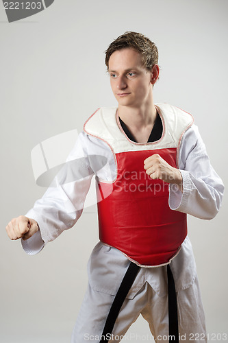 Image of Taekwon-Do fighter