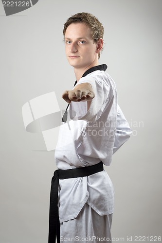 Image of Taekwon-Do hand technique