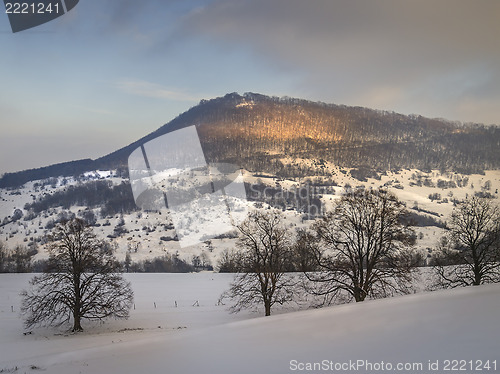 Image of Winter landscape with trees