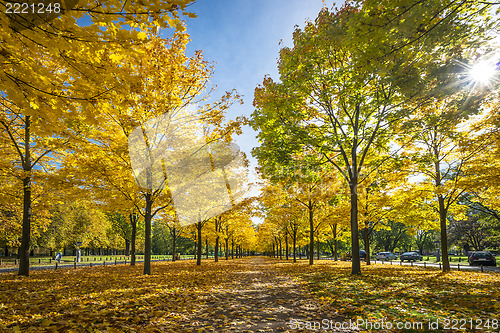 Image of Park in Dresden