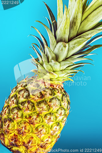Image of Closeup pineapple