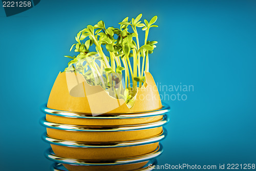 Image of eggshell with cress