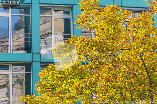 Image of house with tree