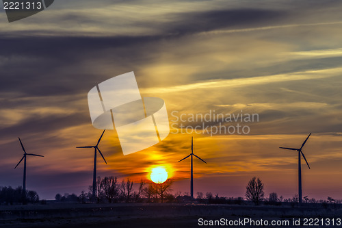 Image of Four windmills in the evening