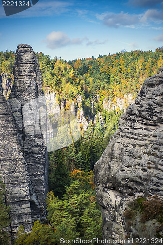 Image of Colored leafes in Saxon Switzerland