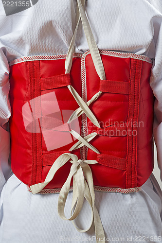 Image of Taekwondo body protector vest