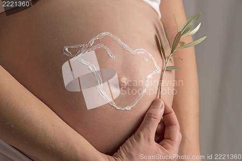 Image of Pregnant woman with cream pigeon on her baby bump