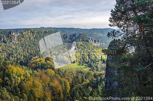 Image of Forest in Saxon Switzerland