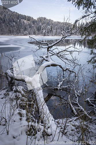 Image of Lake in winter