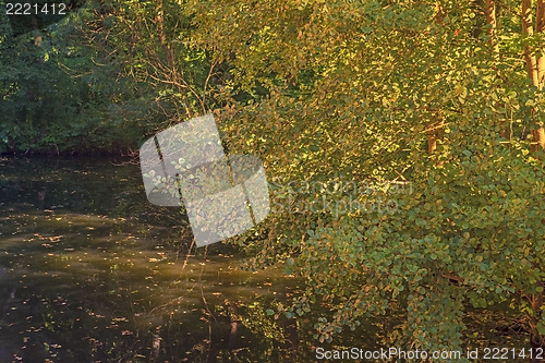 Image of Water ditch on sunset