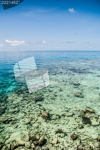 Image of the tropical sea with blue water, Maldives