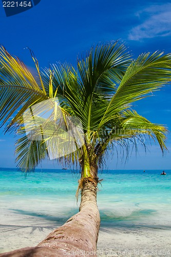 Image of White sands beach with crystal clear ocean in Maldives.