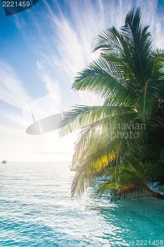 Image of View of nice tropical  beach  with some palms