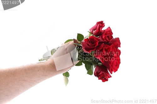 Image of hand with fresh red roses