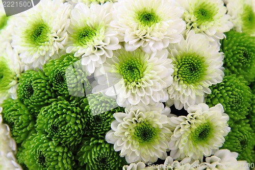 Image of green wedding flowers 