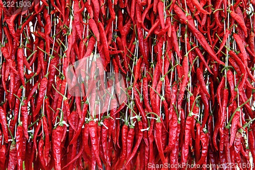 Image of red hot chili peppers background